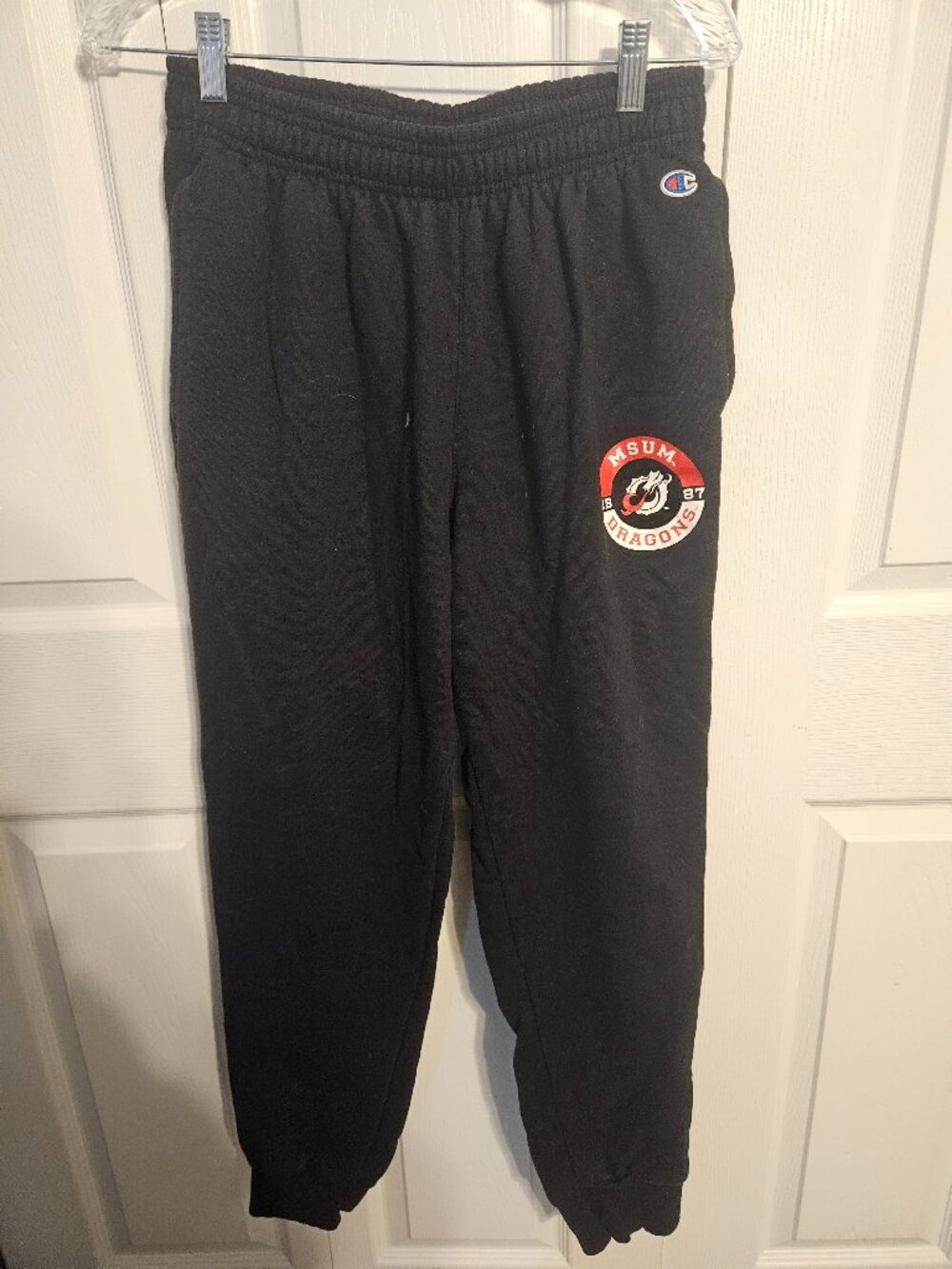 MSUM Jogger Pants (Champion Brand)